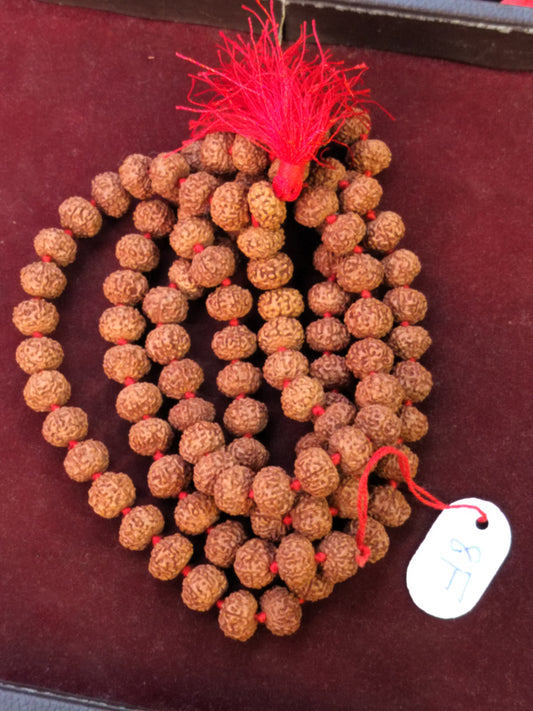 8 Mukhi Rudraksha Mala (Indonesian)