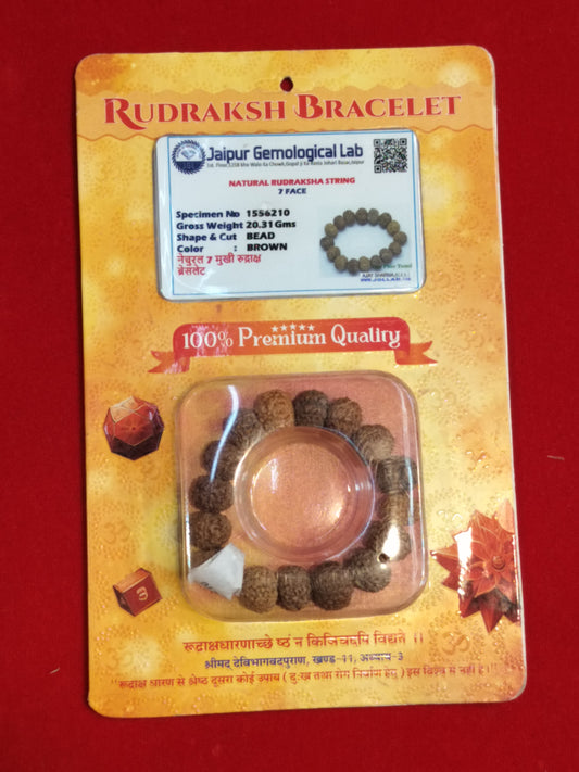 Original 7 mukhi rudraksha bracelet