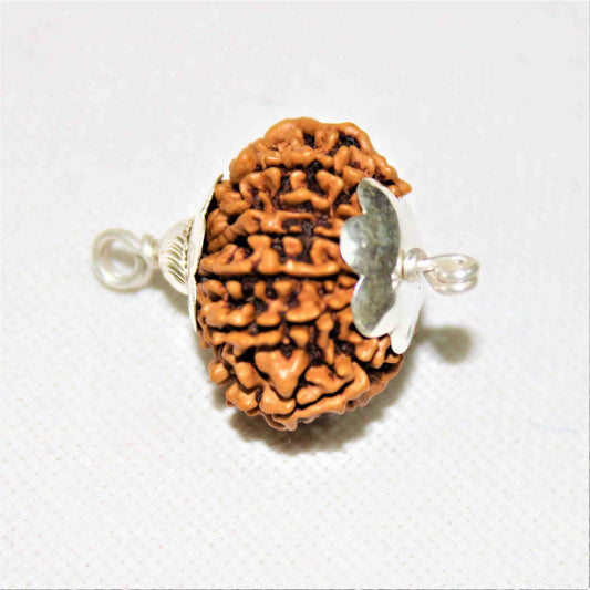 Natural 12 Mukhi Nepali Rudraksha