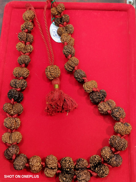 Nepali Gauri Shankar Rudraksha Sidhi mala