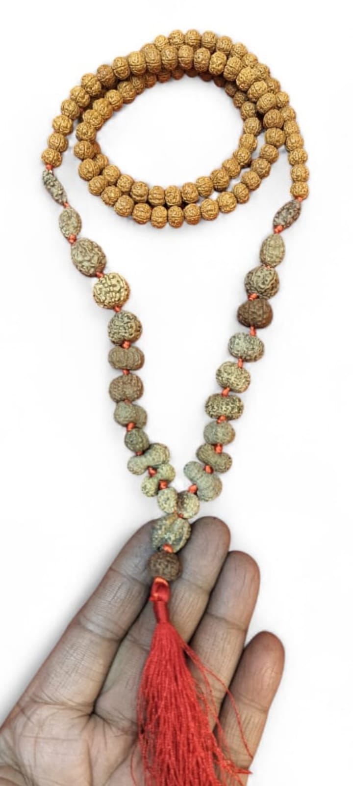 1 to 21 Mukhi with trijuti Rudraksha Mala