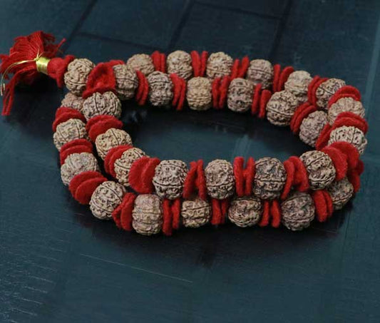 Nepali 5 Mukhi Rudraksha kantha (32+1 beads)
