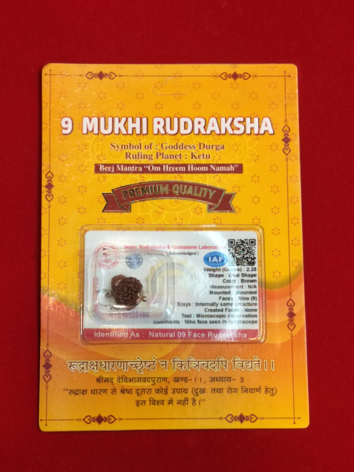 Natural 9 Mukhi Rudraksha
