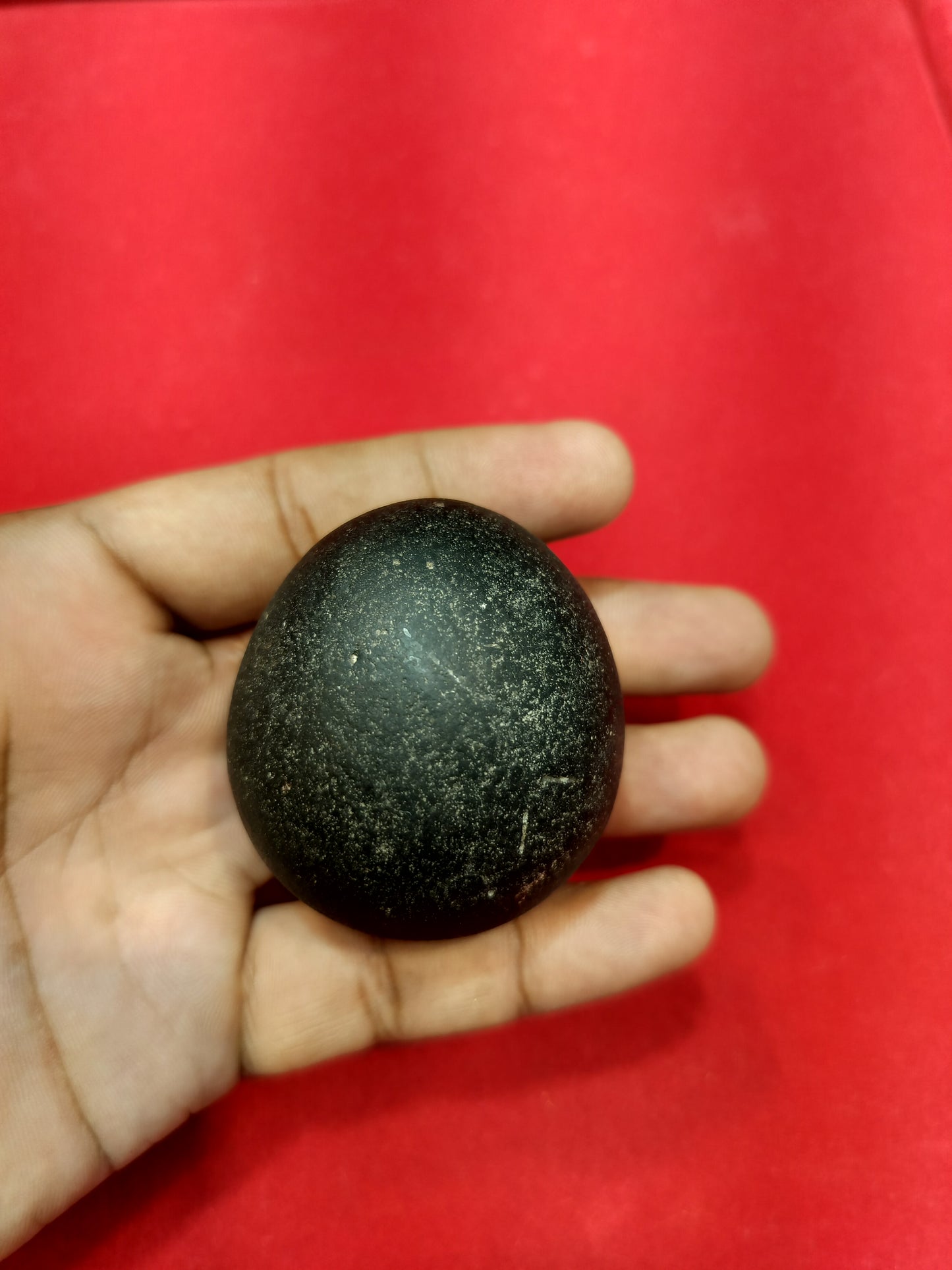 Laddu Gopal Shaligram ji