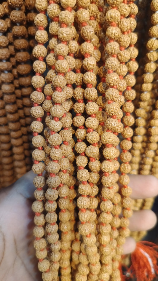 Premium Quality 5 Mukhi Rudraksha Mala 108+1 beads (semi pathriya)