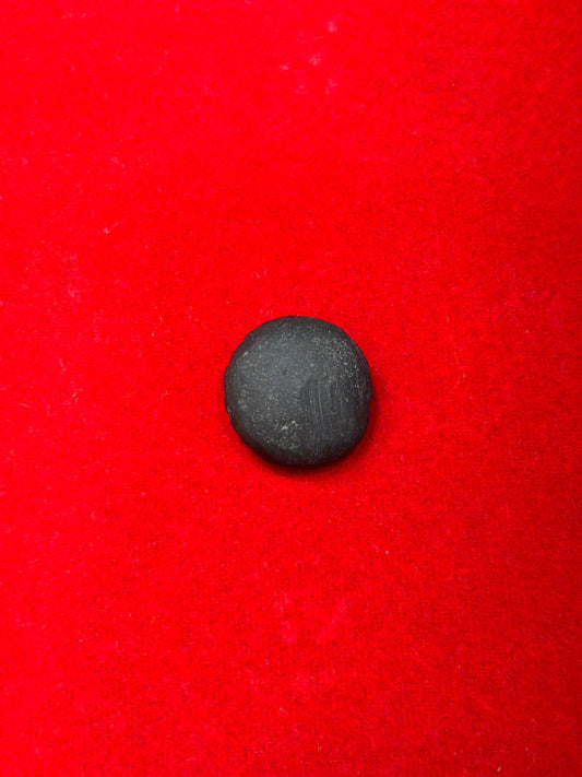 Sudarshan chakra shaligram jii