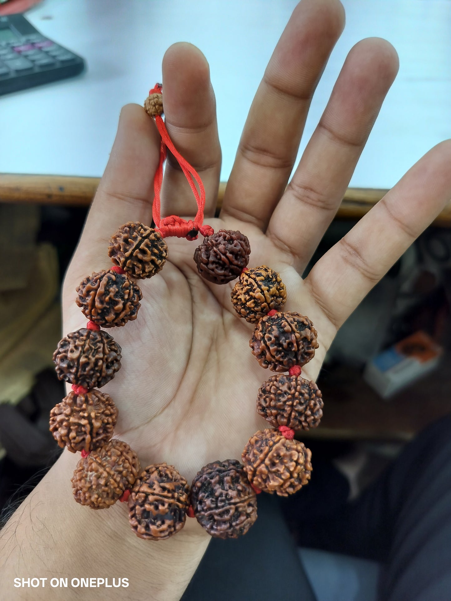 Original 7 mukhi rudraksha bracelet
