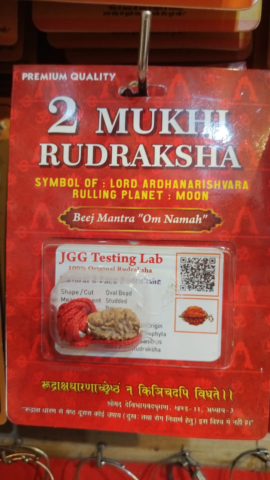 Natural 2 Mukhi Rudraksha