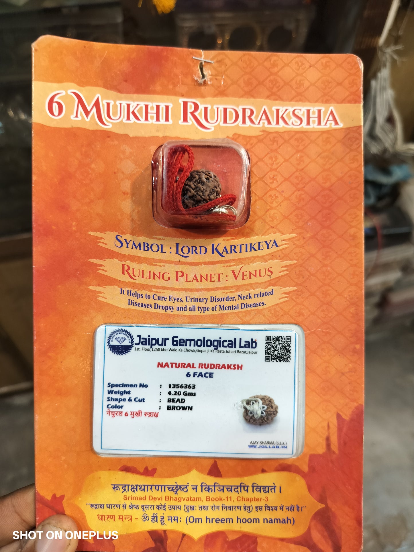 6 Mukhi Nepali Rudraksha