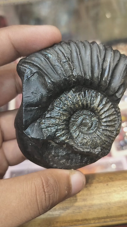 Lakshmi Narayan Shaligram ji