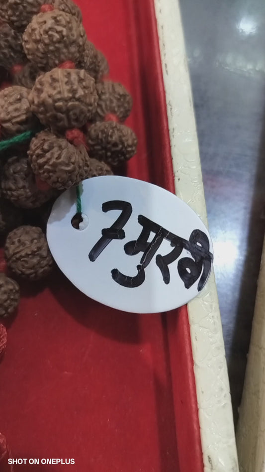 7 Mukhi Indonesian Rudraksha Mala (Big size)