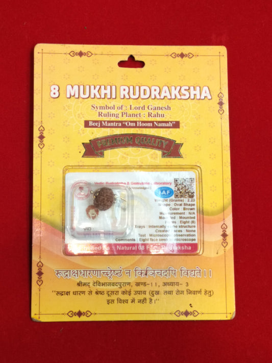 Natural 8 Mukhi Rudraksha