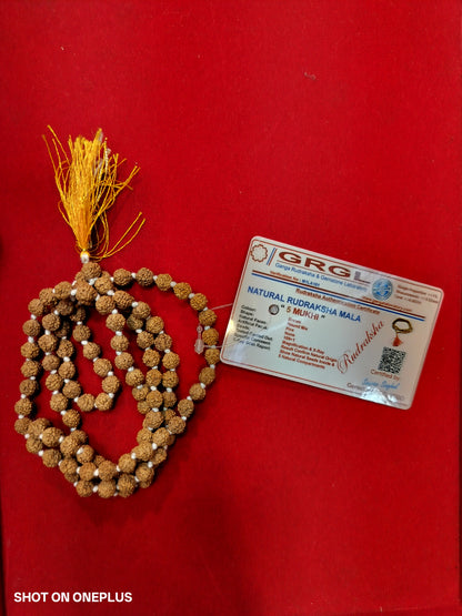 5 mukhi rudraksha mala (Indonesian)