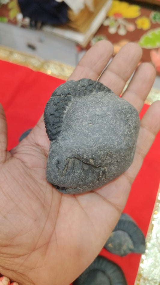 Bhu varaha Shaligram ji