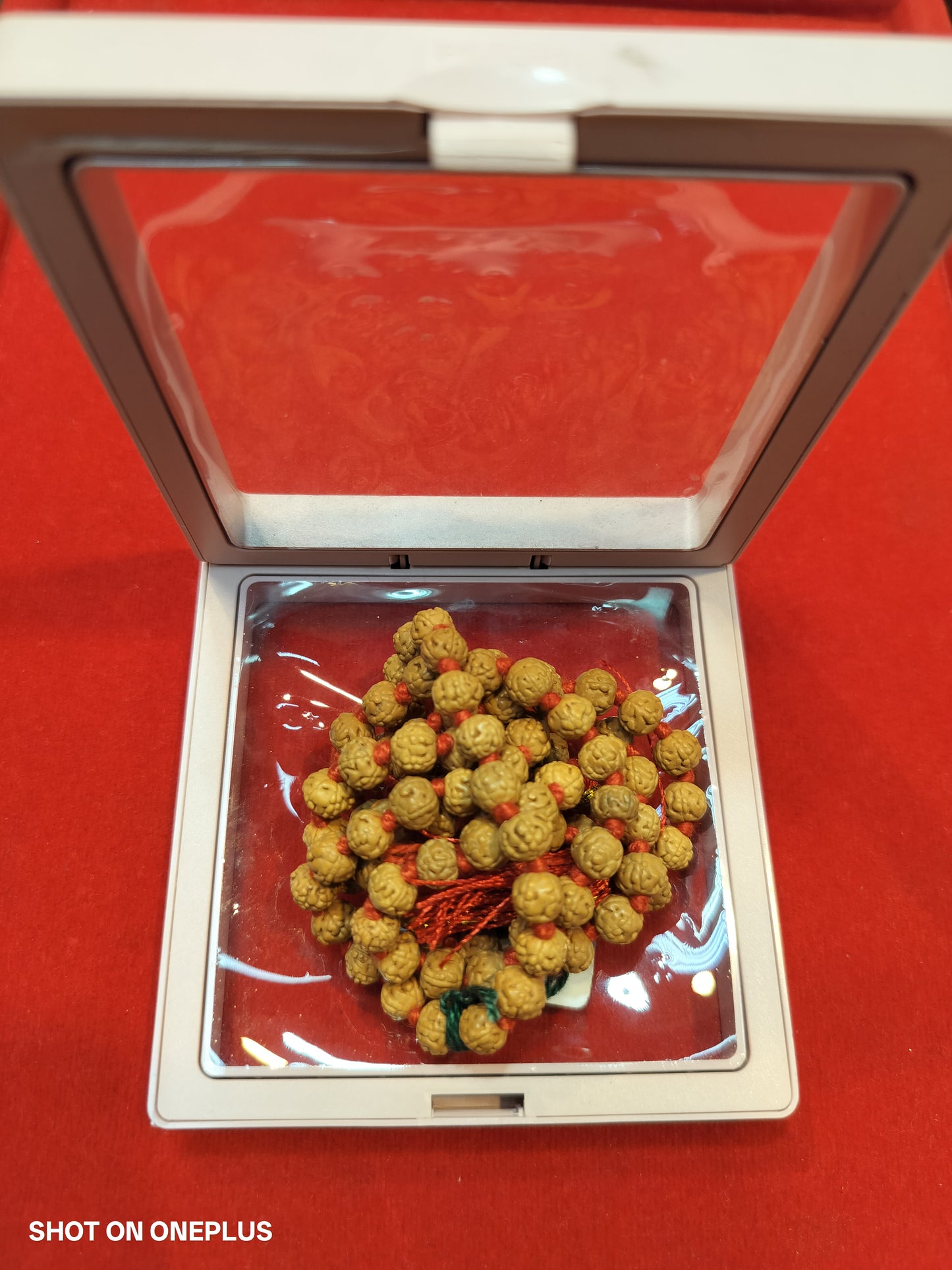 Premium Quality 5 Mukhi Rudraksha Mala 108+1 beads (semi pathriya)