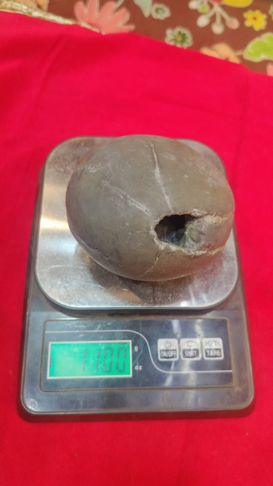 Big size unique lakshmi narayan shaligram ji