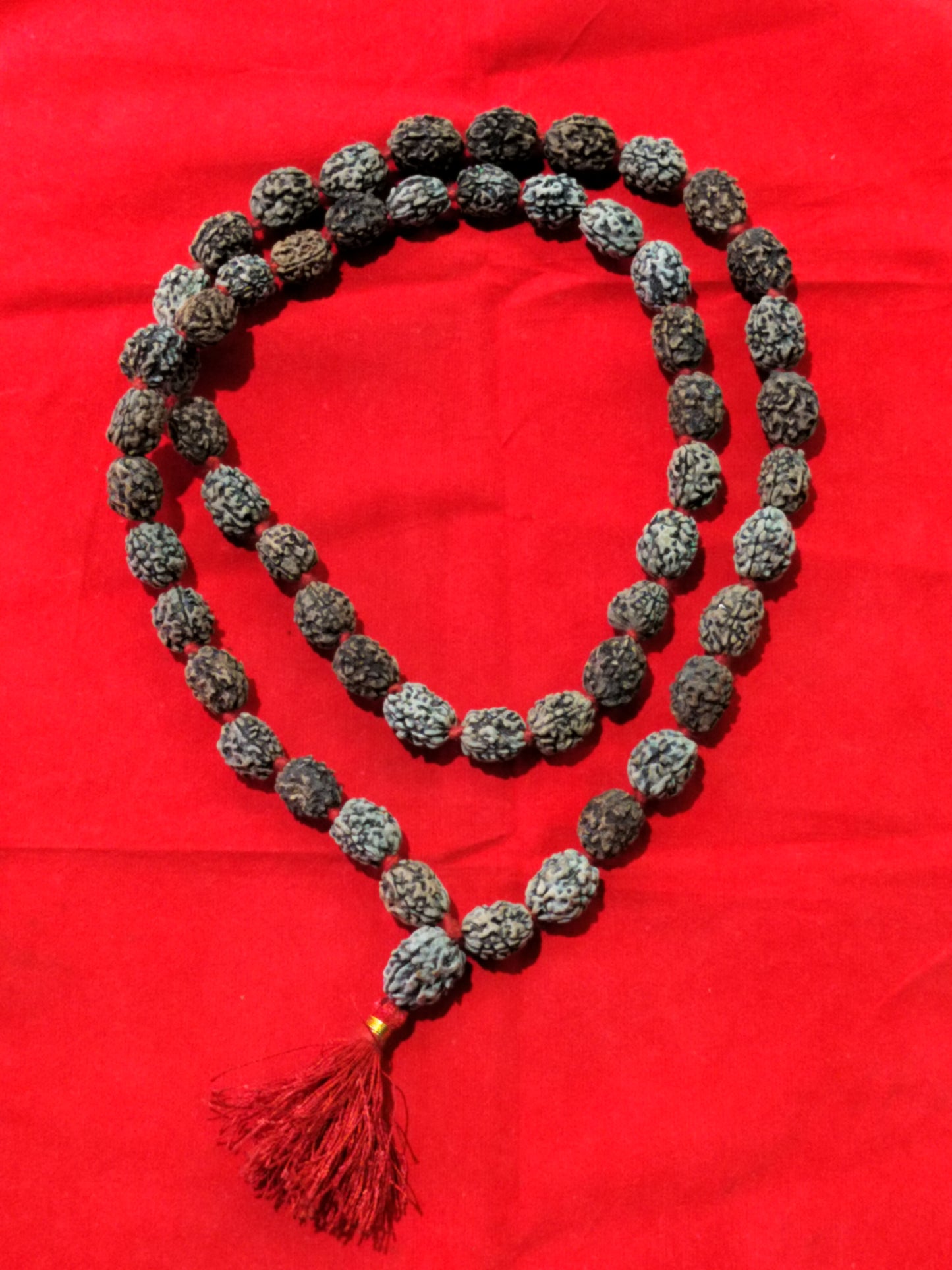 3 Mukhi Rudraksha Mala (54+1 beads)