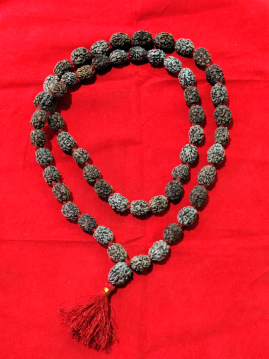 3 Mukhi Rudraksha Mala (54+1 beads)