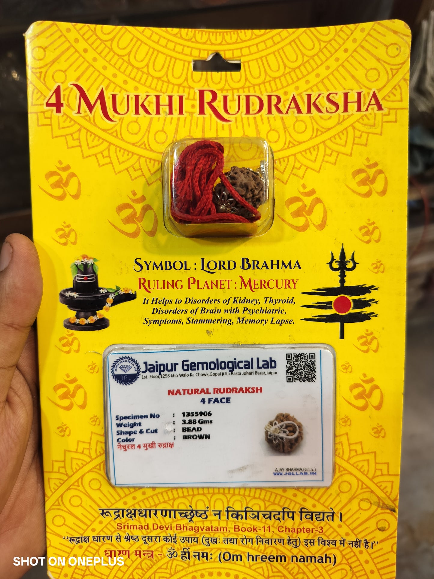 4 Mukhi Nepali Rudraksha
