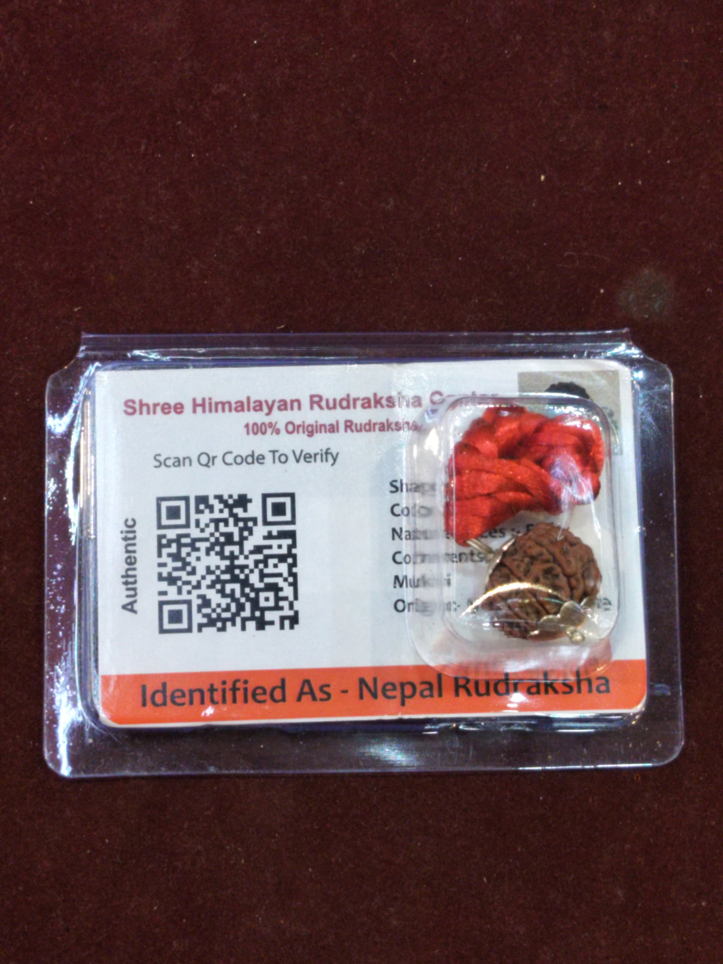 Natural 8 Mukhi Rudraksha