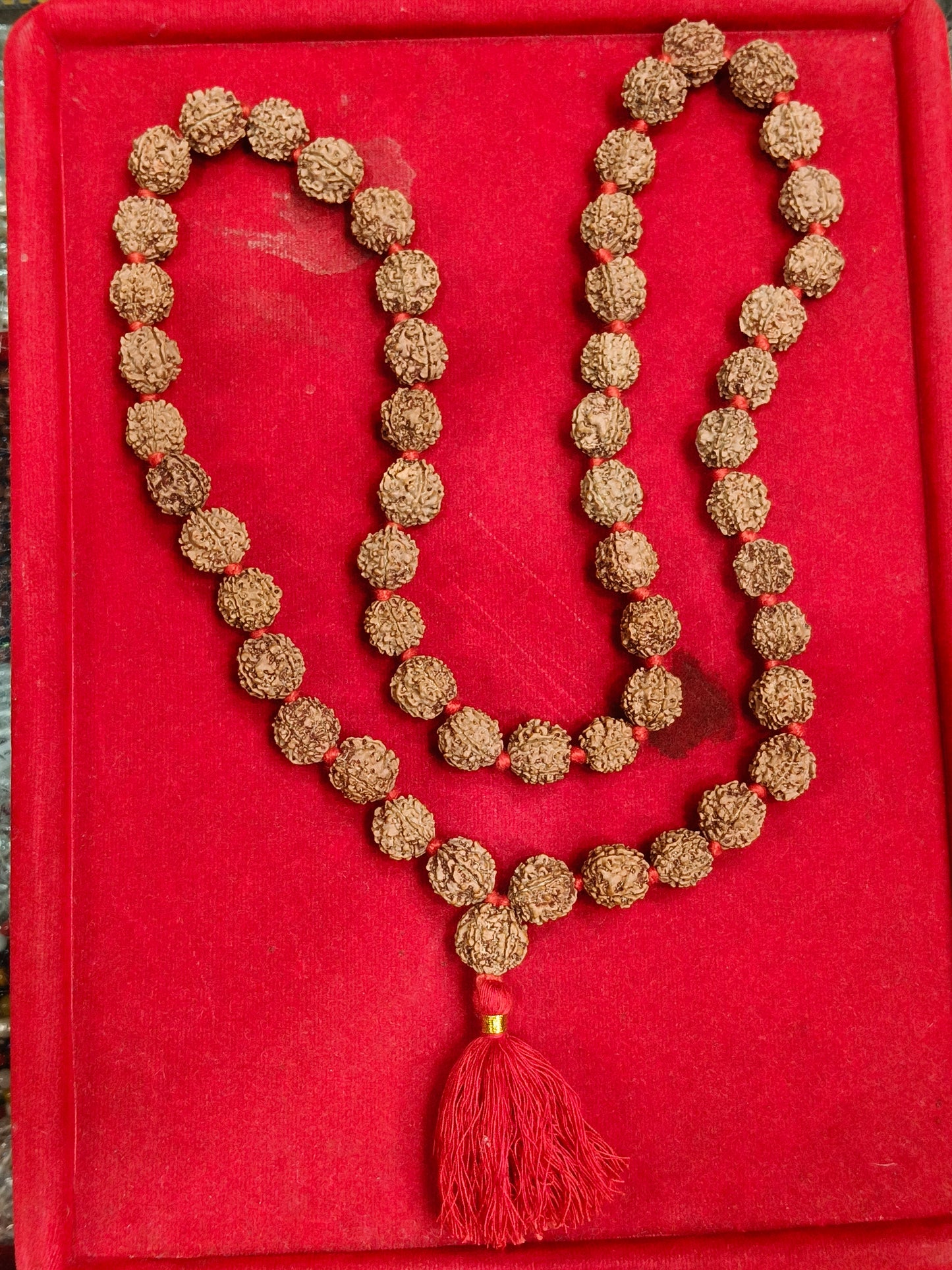 Nepali 5 Mukhi Rudraksha Mala