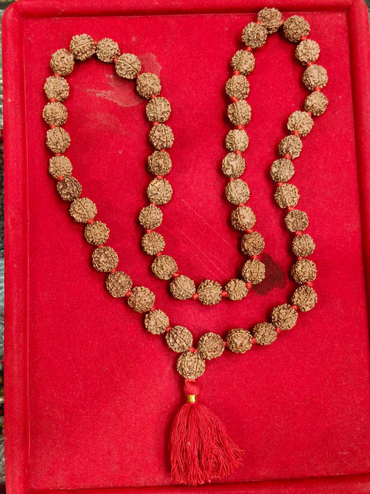 Nepali 5 Mukhi Rudraksha Mala