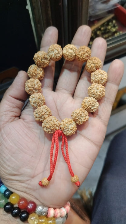 5 mukhi rudraksha bracelet