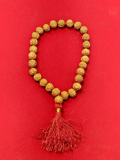 Rudraksha Mala for japa (27+1 beads)