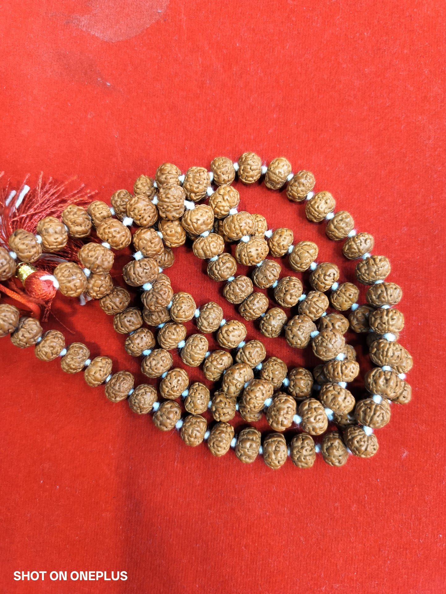 Premium Quality 5 Mukhi Rudraksha Mala 108+1 beads (semi pathriya)
