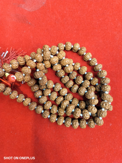 Premium Quality 5 Mukhi Rudraksha Mala 108+1 beads (semi pathriya)