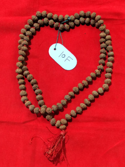 10 Mukhi Rudraksha Mala (Indonesian)108+1 beads
