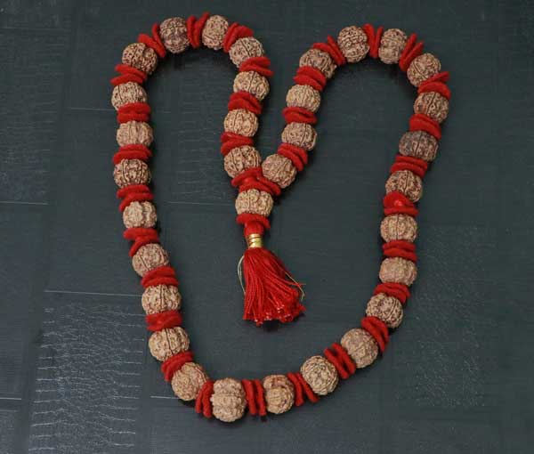 Nepali 5 Mukhi Rudraksha kantha (32+1 beads)