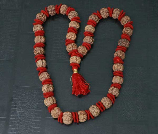 Nepali 5 Mukhi Rudraksha kantha (32+1 beads)