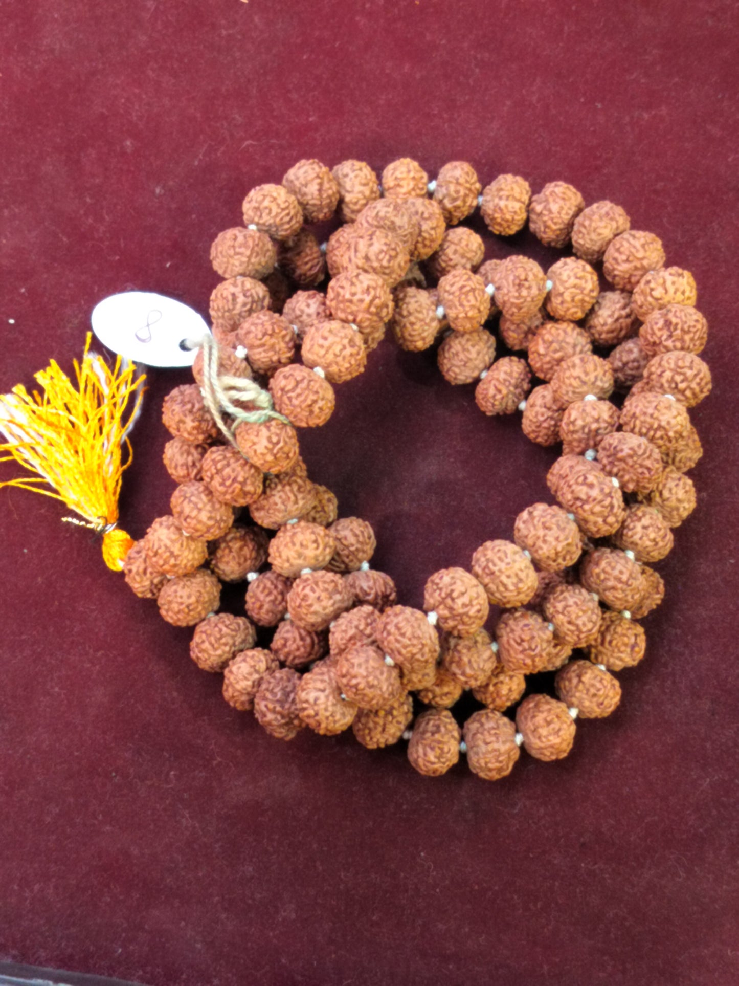 8 Mukhi Rudraksha Mala (Indonesian)