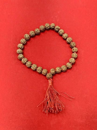 Rudraksha Mala for japa (27+1 beads)