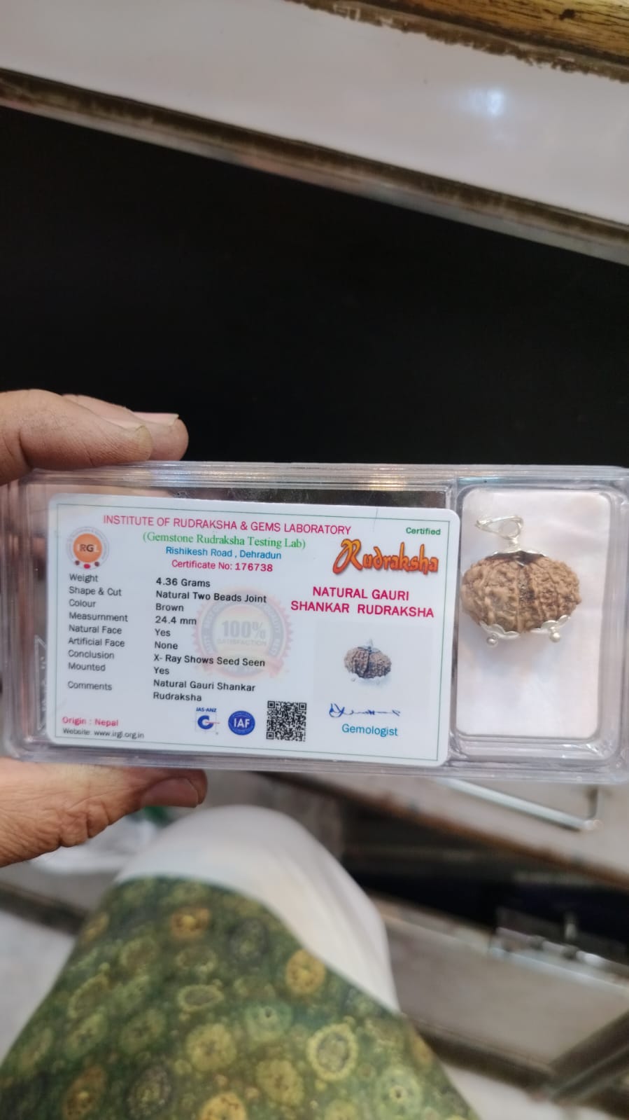 Natural Gauri Shankar Rudraksha