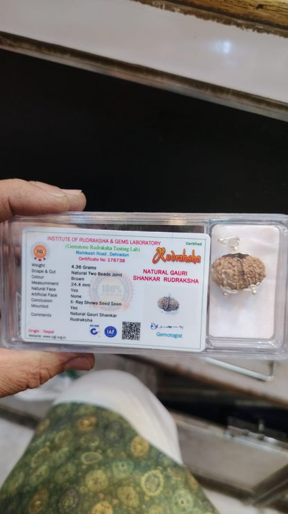 Natural Gauri Shankar Rudraksha