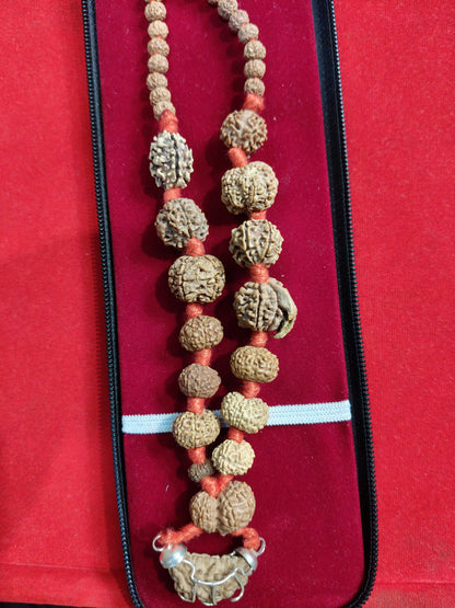 1 mukhi to 14 mukhi rudraksha sidhi mala