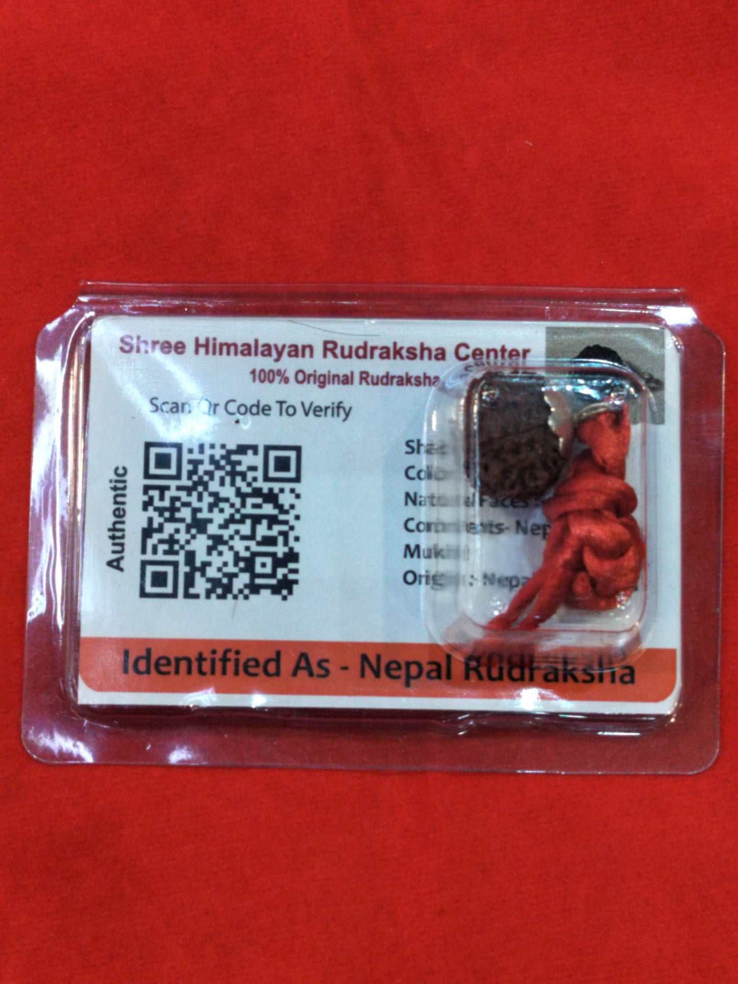 Natural 9 Mukhi Rudraksha