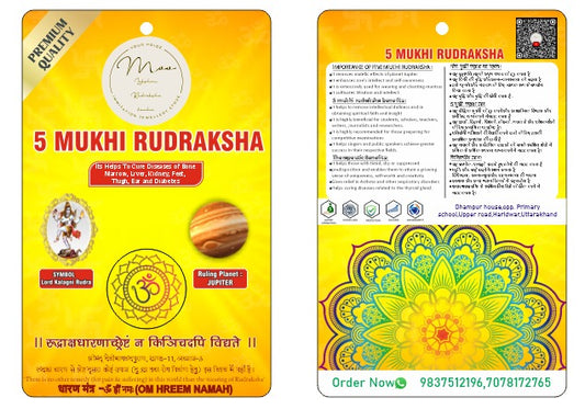 5 Mukhi Rudraksha Nepali
