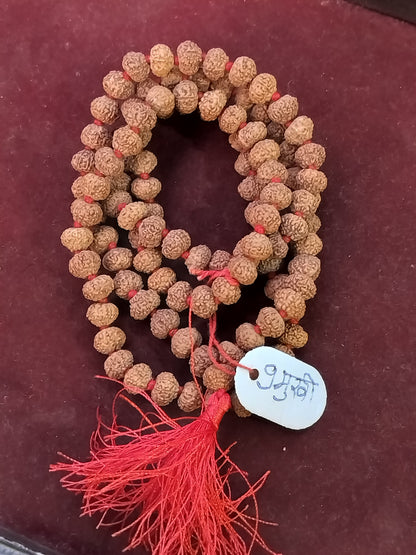 9 Mukhi Rudraksha Mala (Indonesian)