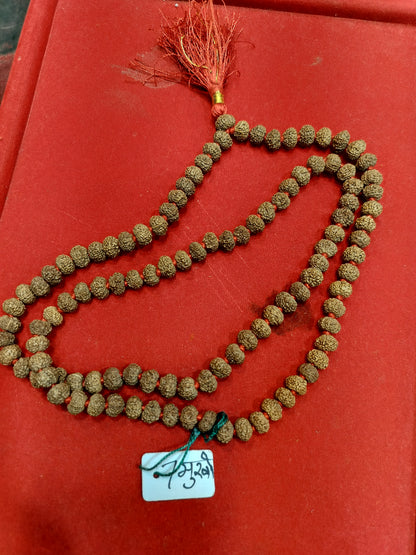 Indonesian 7 mukhi rudraksha mala 108+1 beads