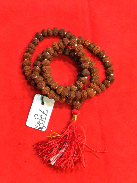 Indonesian 7 mukhi rudraksha mala 108+1 beads