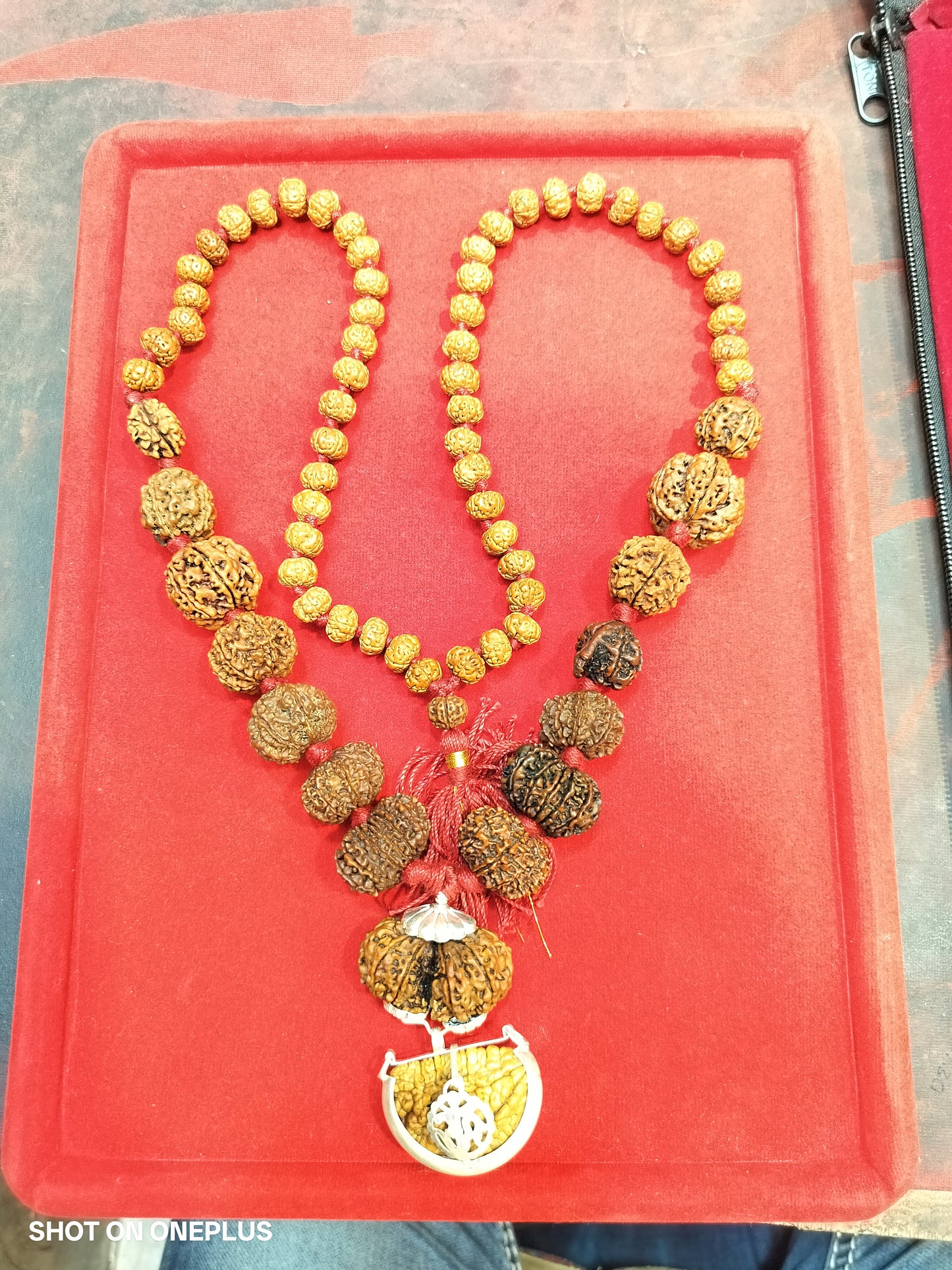 1 mukhi to 14 mukhi rudraksha sidhi mala