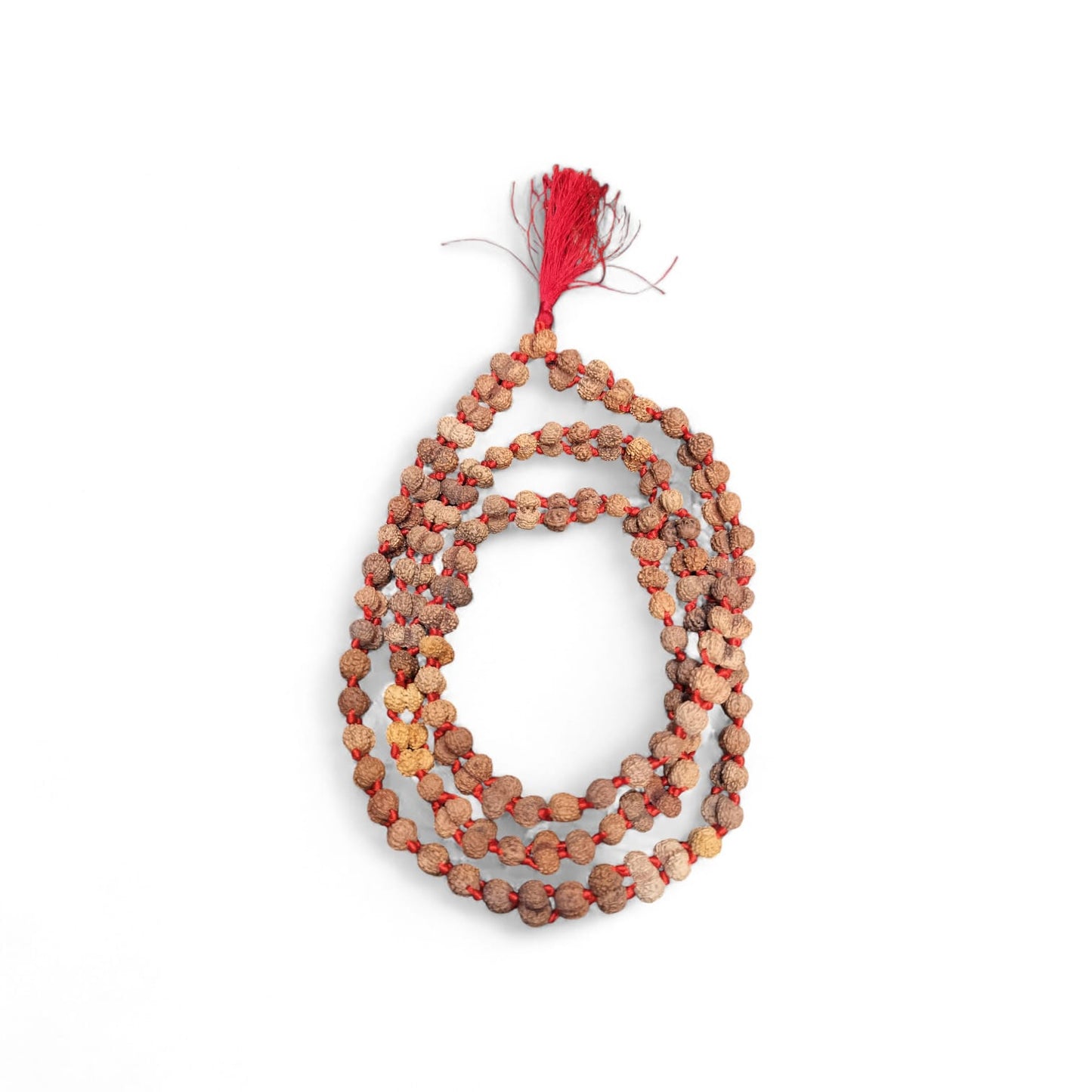 Natural Gauri Shankar Rudraksha Mala